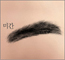 궁합풀이